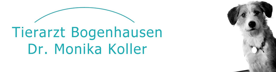 Tierarzt Bogenhausen