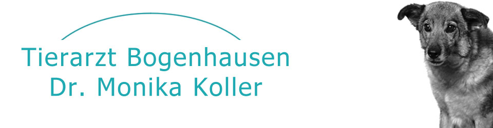 Tierarzt Bogenhausen