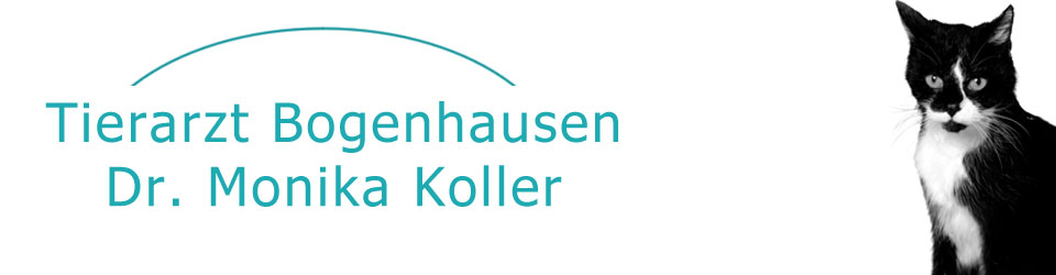 Tierarzt Bogenhausen