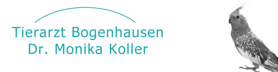 Tierarzt Bogenhausen